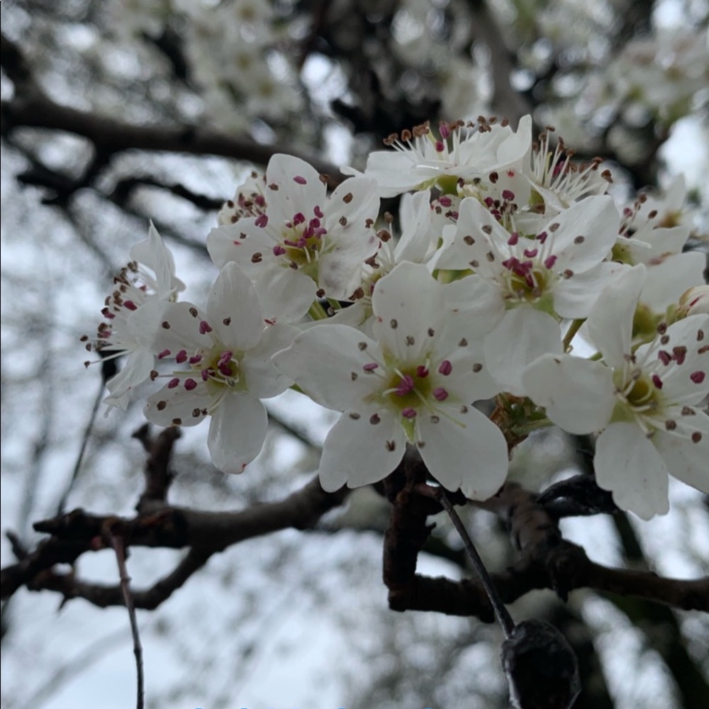 Meet your Posher, 상우